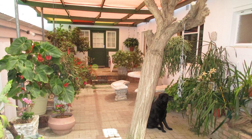 Van Rhyn Guest House Vanrhynsdorp 외부 사진